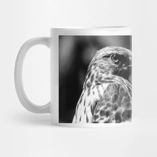 Red-tailed Hawk Mug